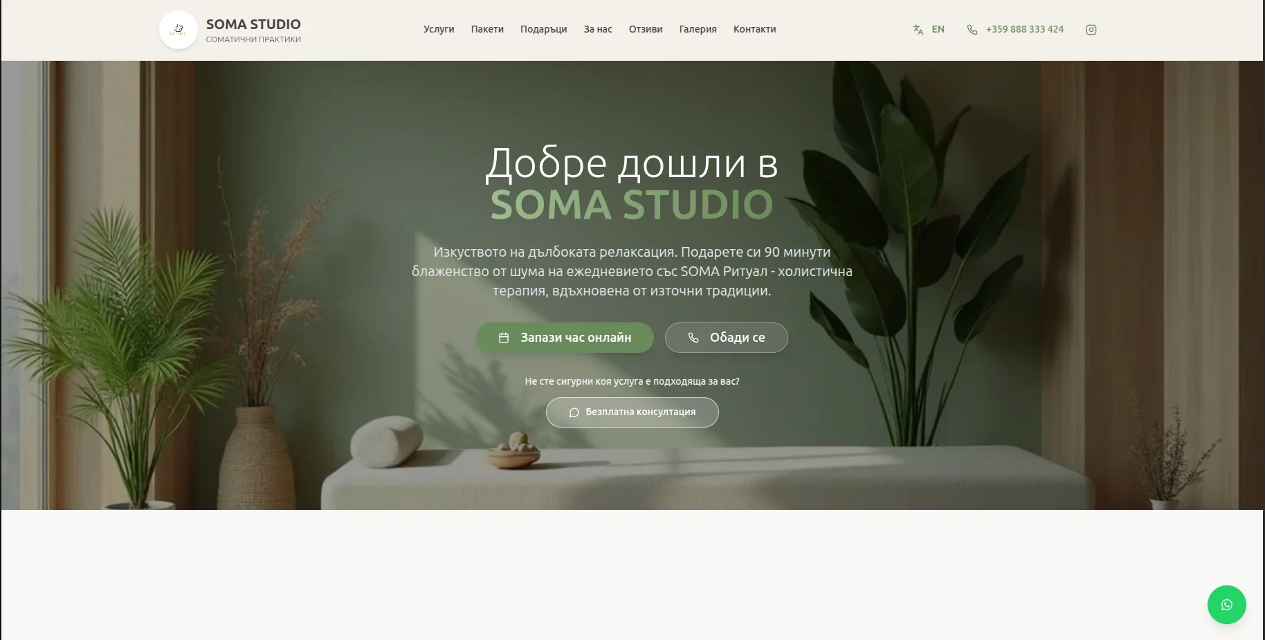 Soma Holistic Studio Website - QA testing project dashboard